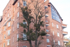 DSCF0725_1384519209